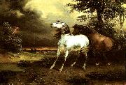 chevaux effrayes par l'orage